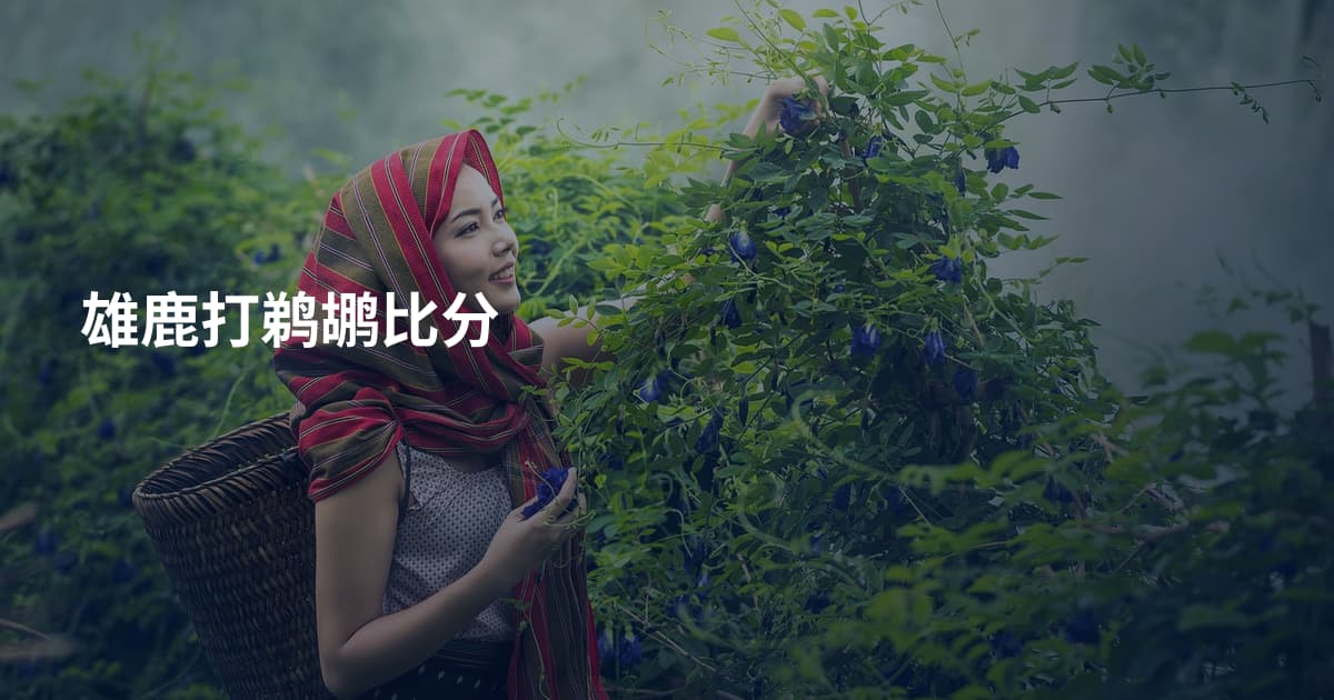 雄鹿打鹈鹕比分