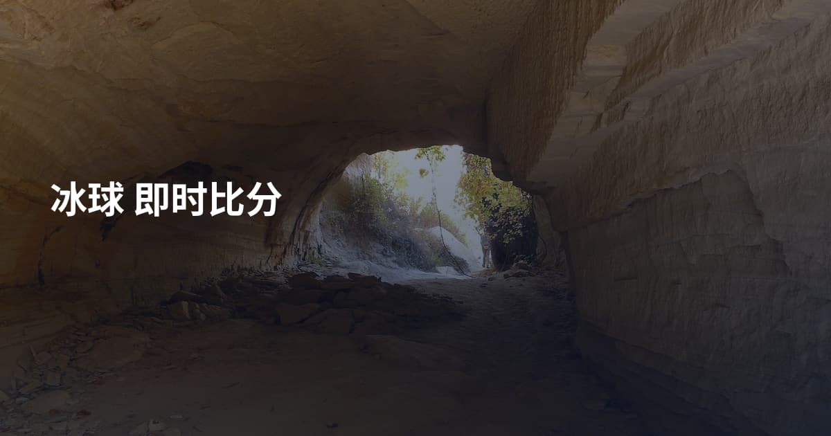 冰球 即时比分