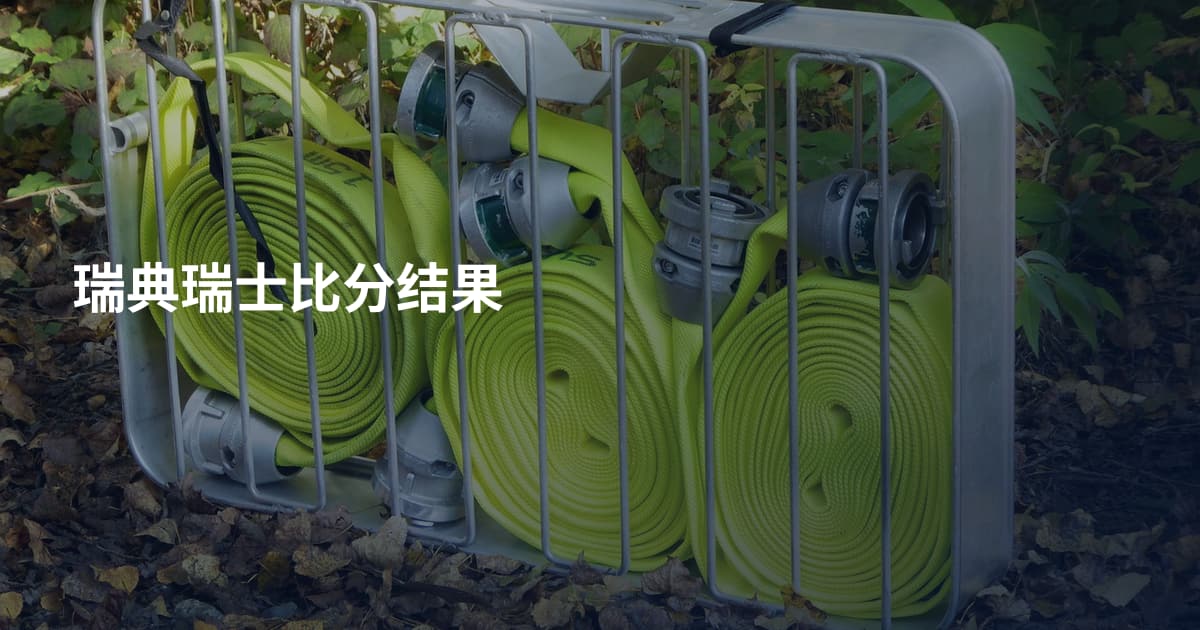 瑞典瑞士比分结果