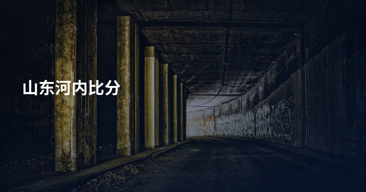 山东河内比分
