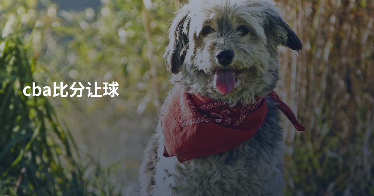 cba比分让球