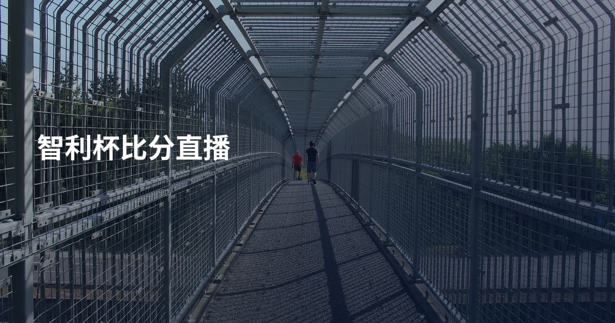 智利杯比分直播
