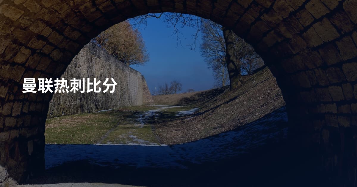 曼联热刺比分