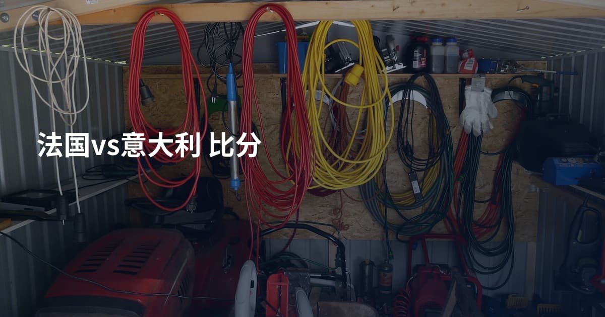 法国vs意大利 比分