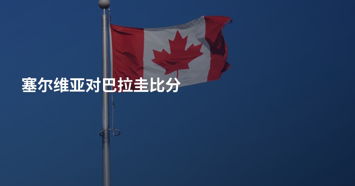 塞尔维亚对巴拉圭比分