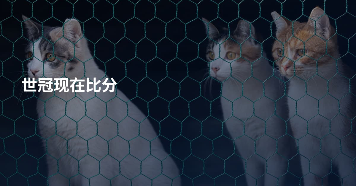 世冠现在比分