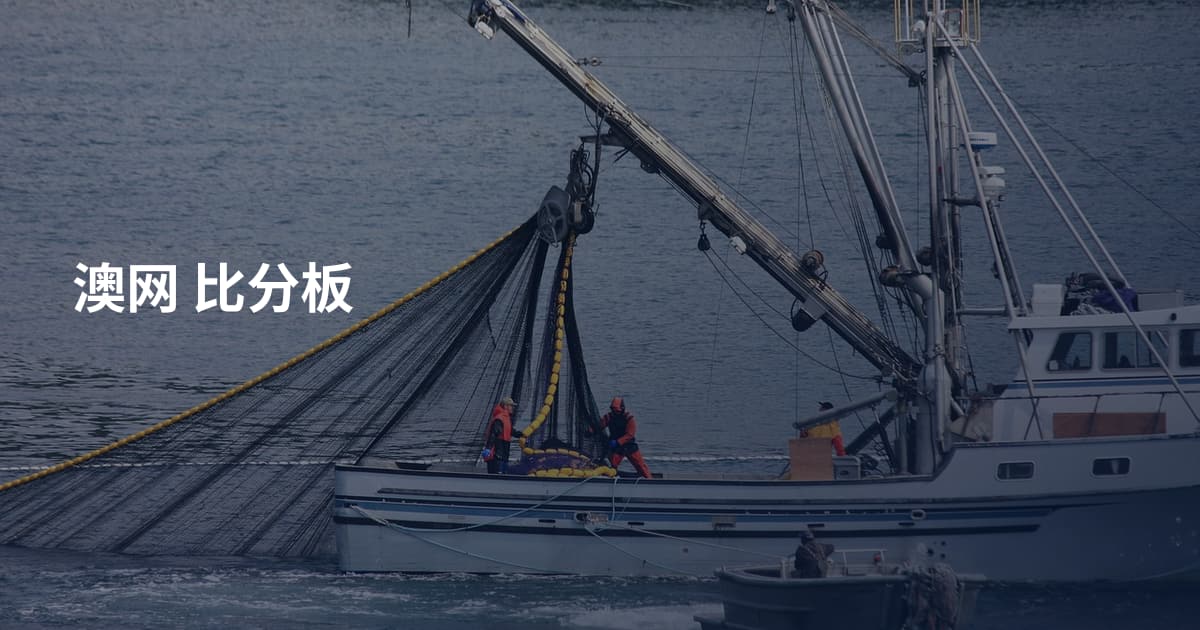 澳网 比分板