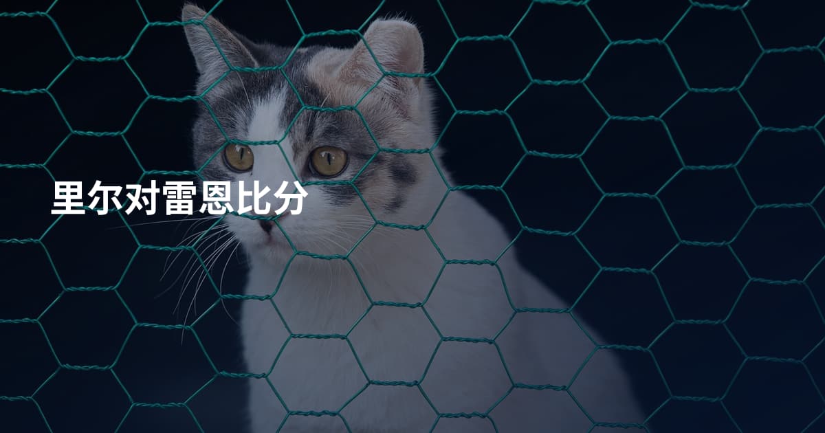里尔对雷恩比分