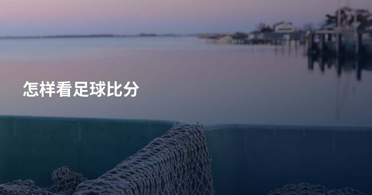 怎样看足球比分