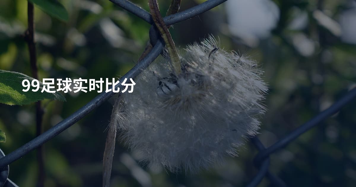 99足球实时比分