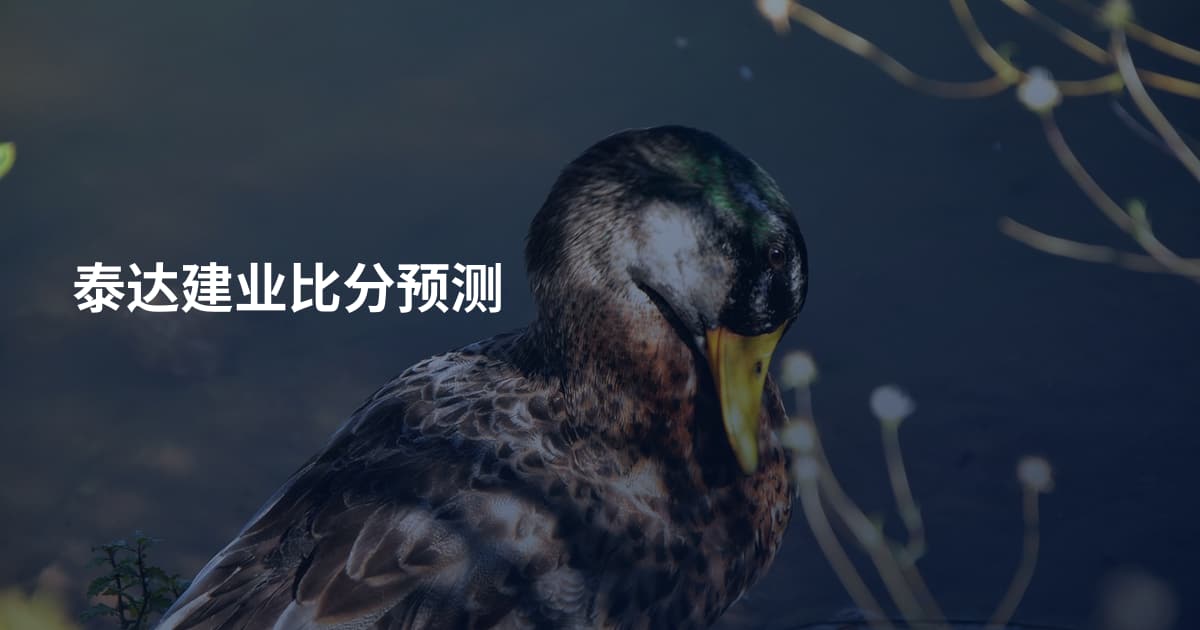 泰达建业比分预测