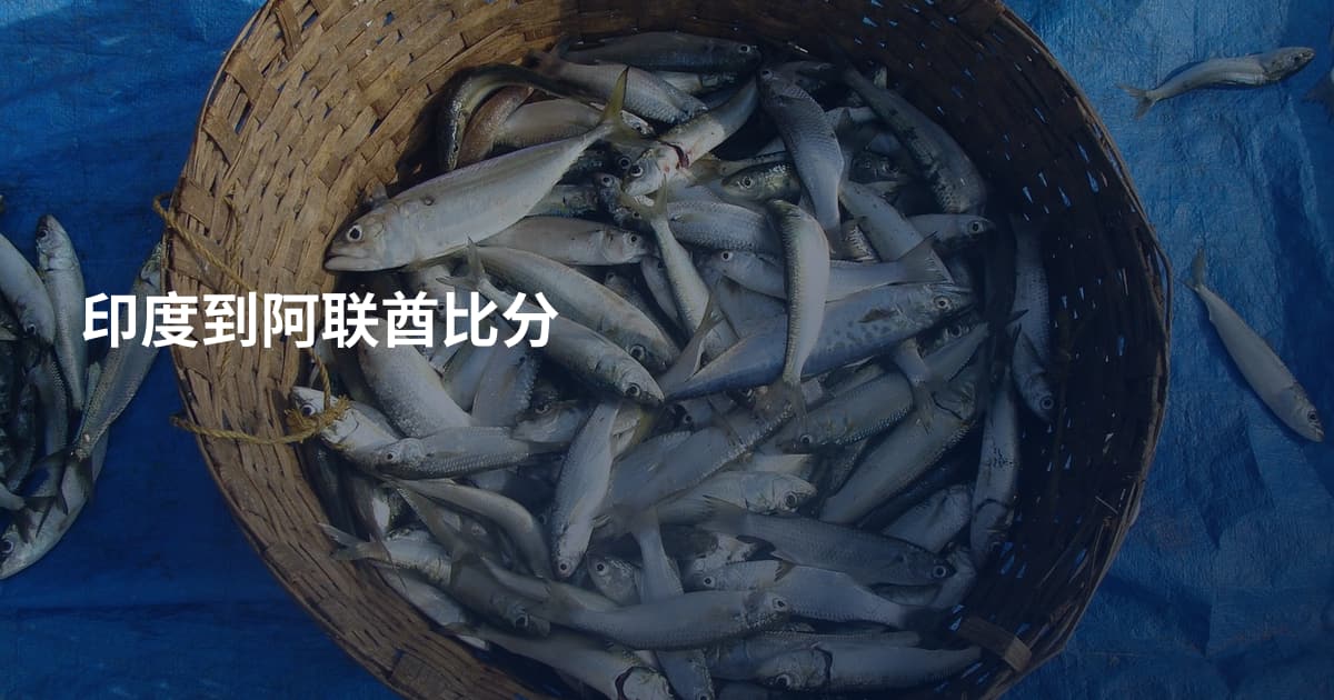 印度到阿联酋比分