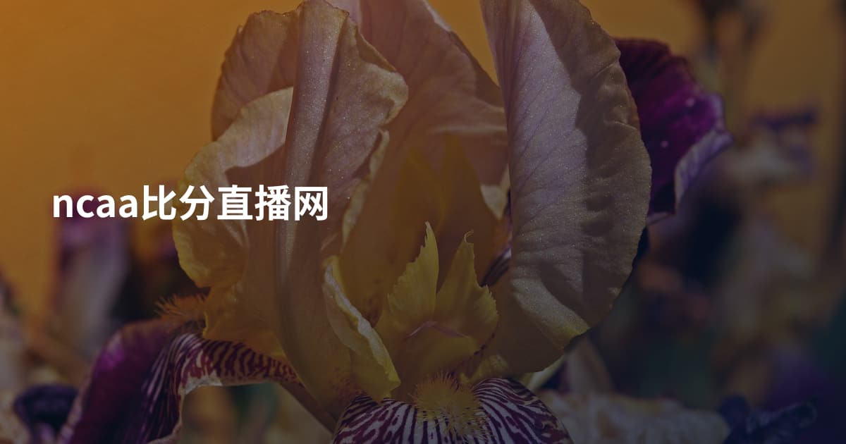 ncaa比分直播网