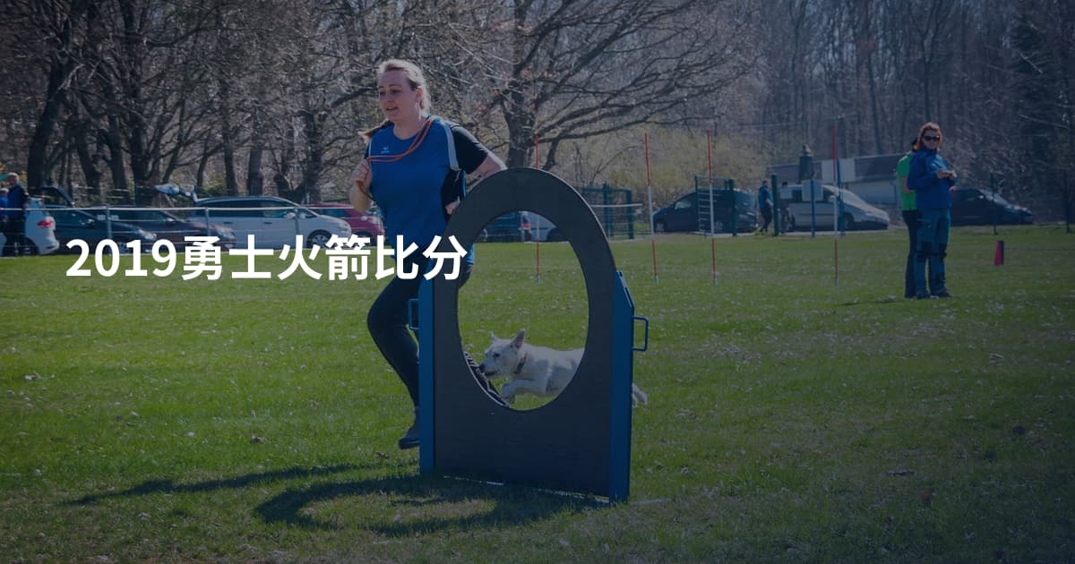 2019勇士火箭比分