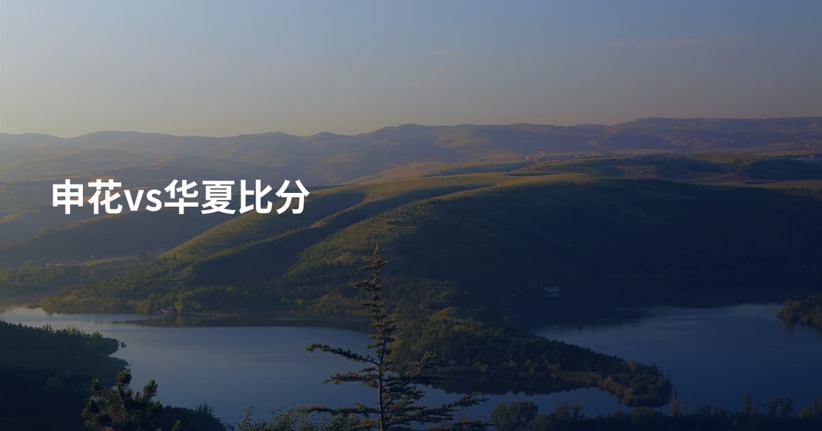 申花vs华夏比分
