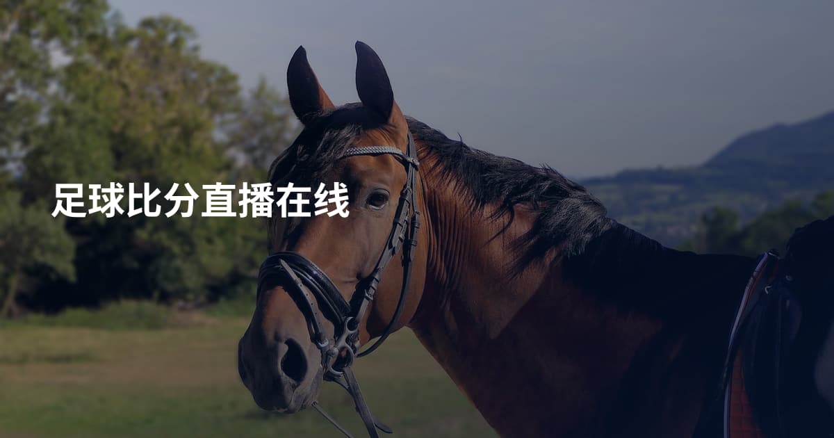 足球比分直播在线
