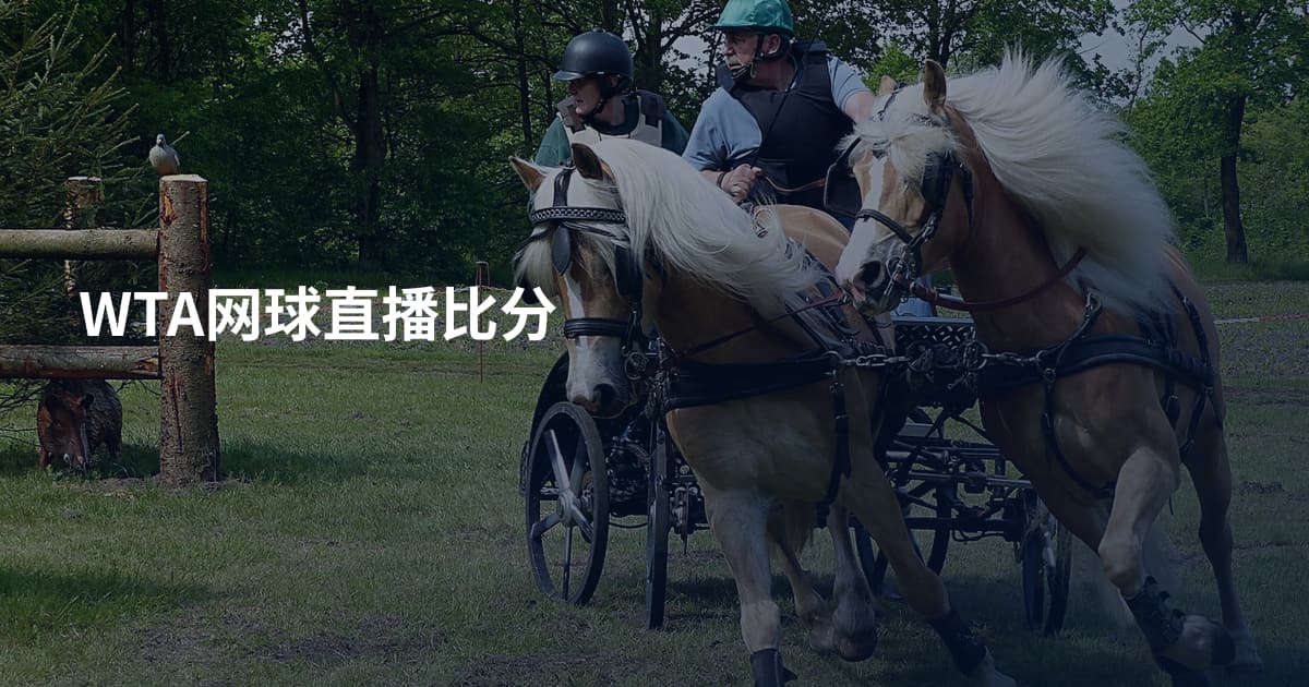WTA网球直播比分