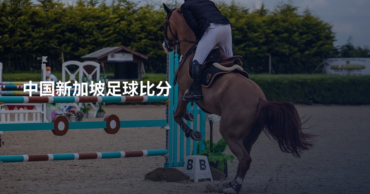 中国新加坡足球比分