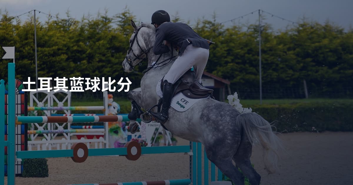 土耳其蓝球比分