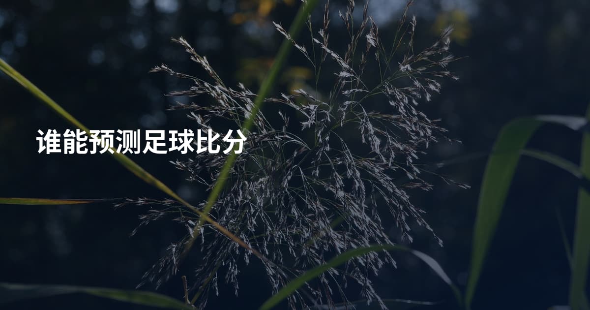 谁能预测足球比分