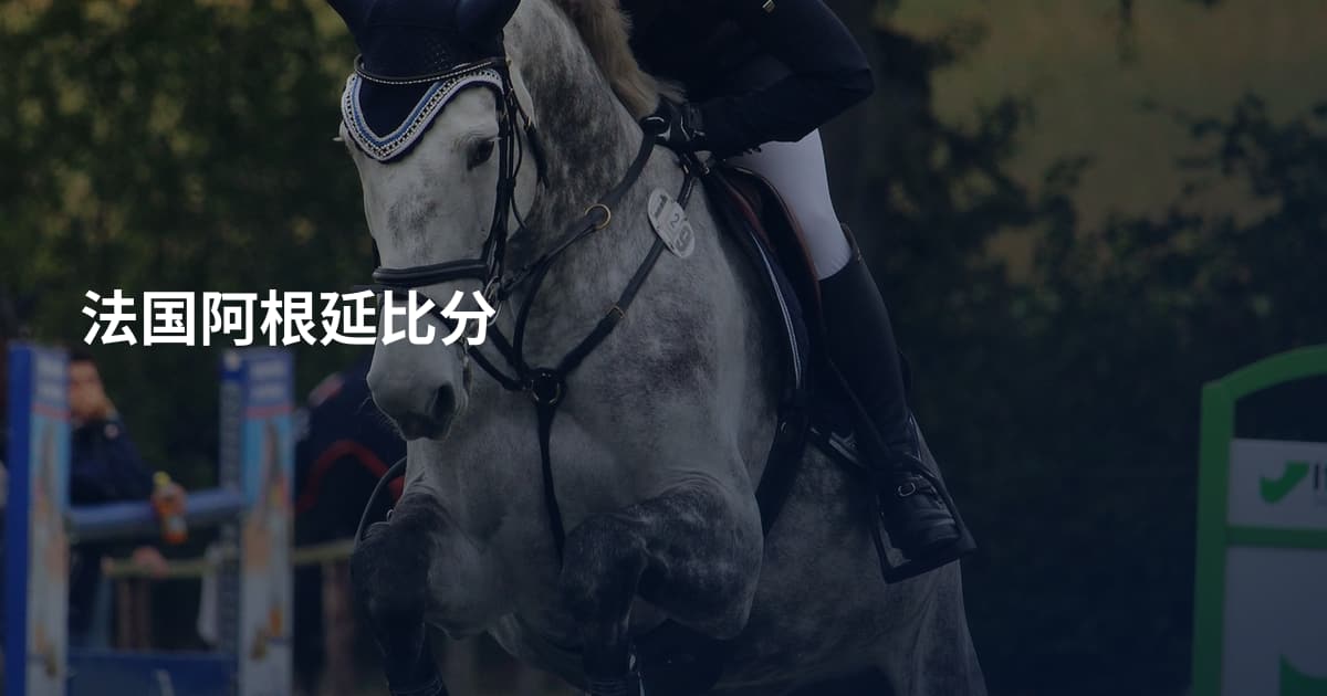 法国阿根延比分