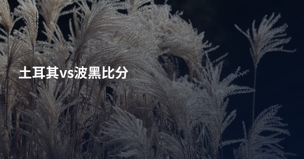 土耳其vs波黑比分