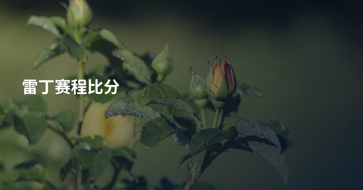 雷丁赛程比分