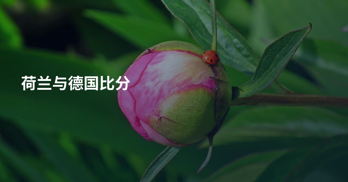 荷兰与德国比分