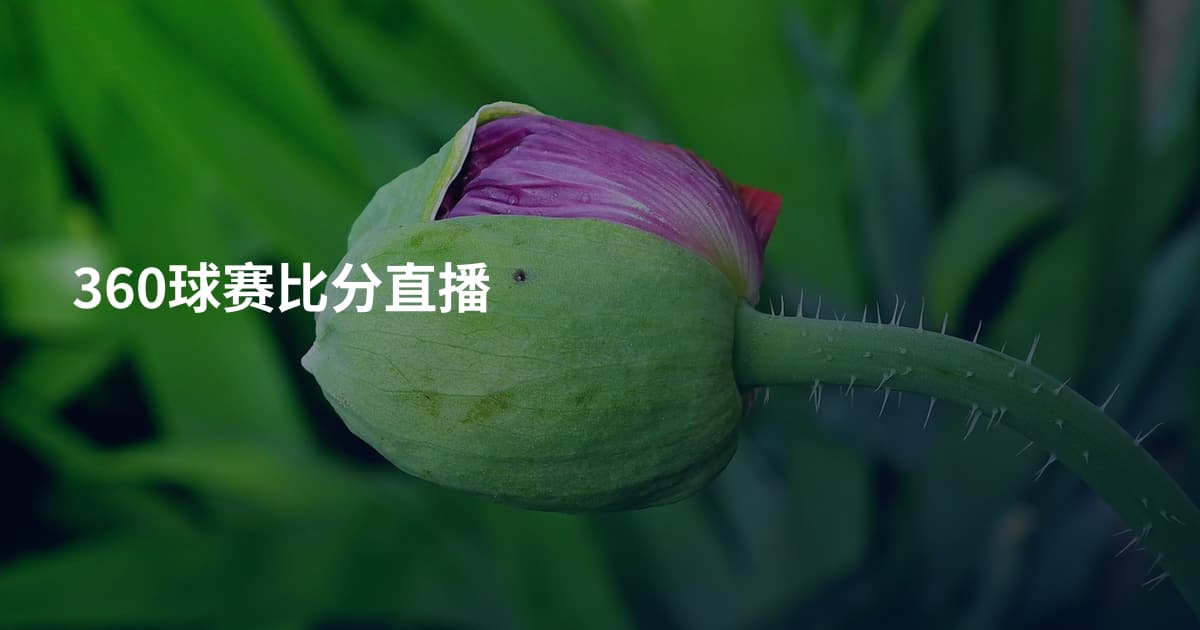 360球赛比分直播