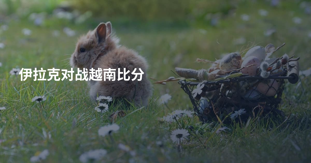 伊拉克对战越南比分