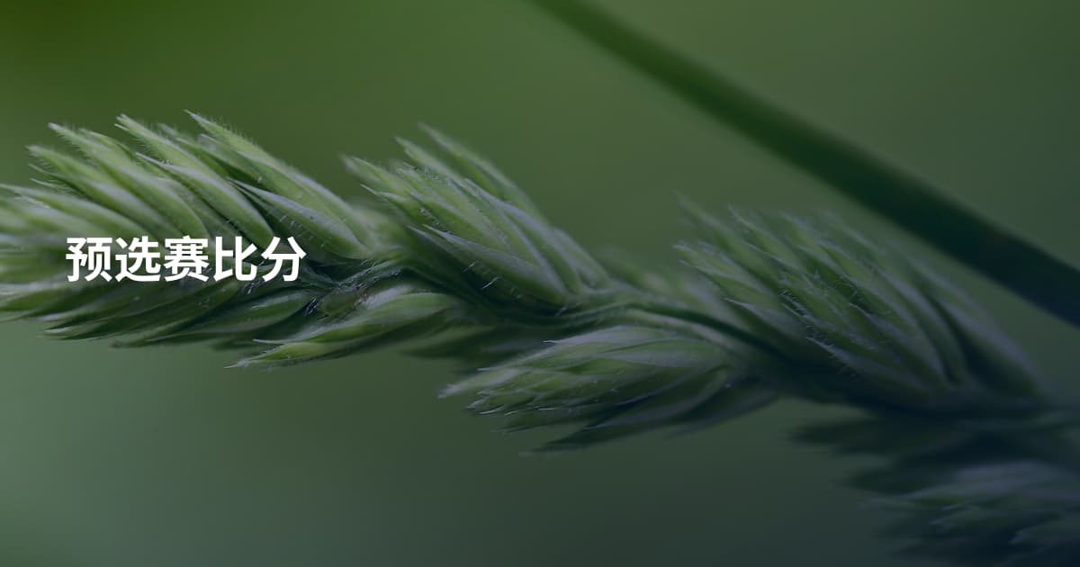 预选赛比分