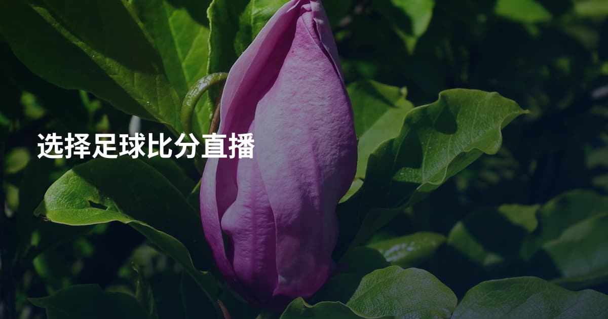 选择足球比分直播