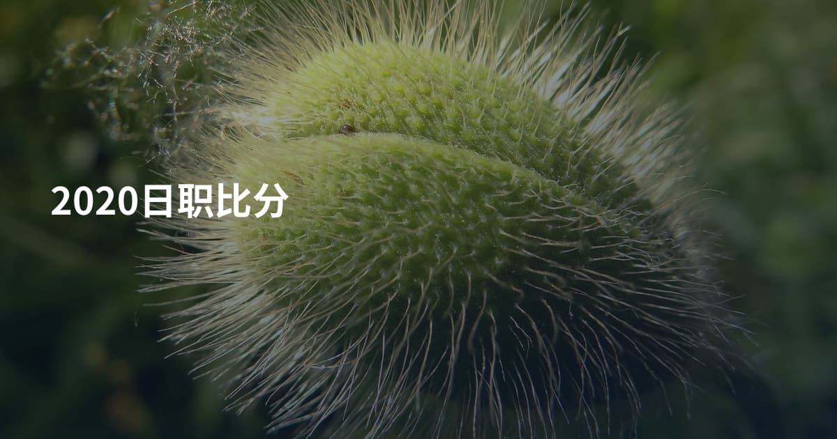 2020日职比分