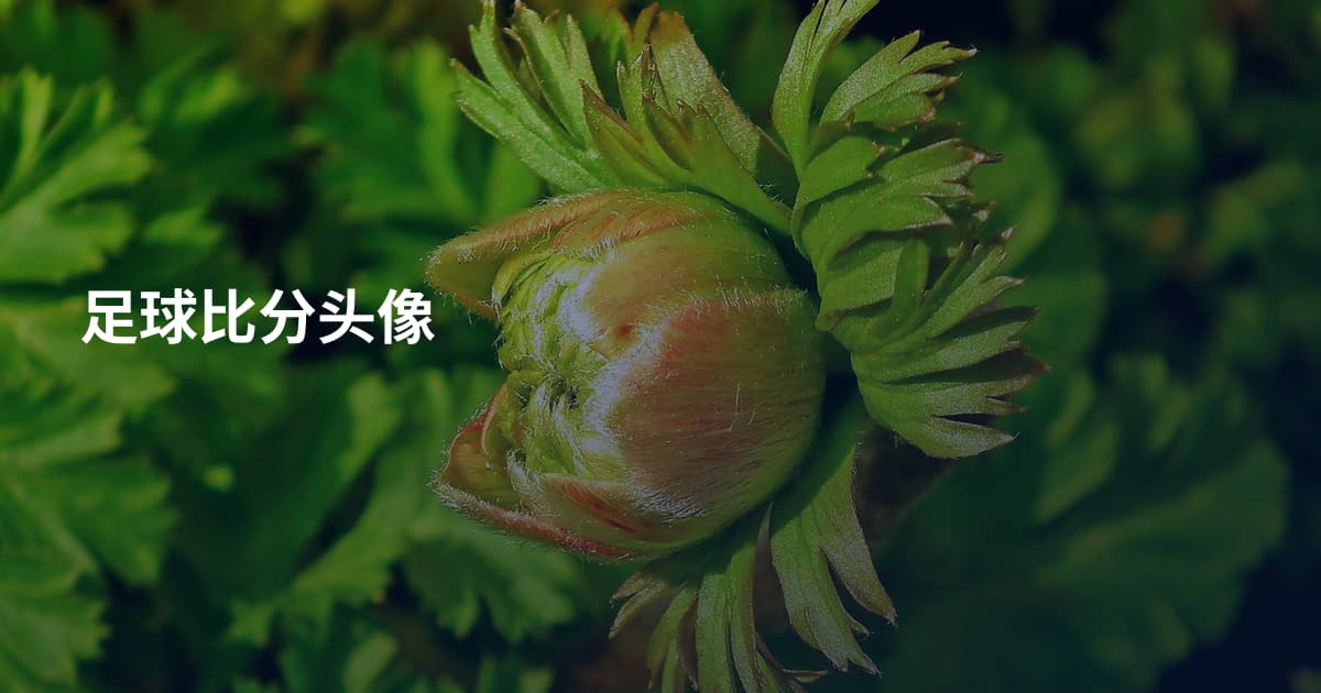 足球比分头像