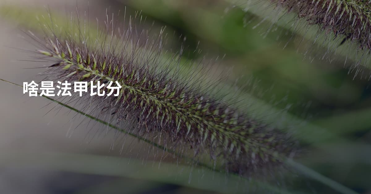 啥是法甲比分