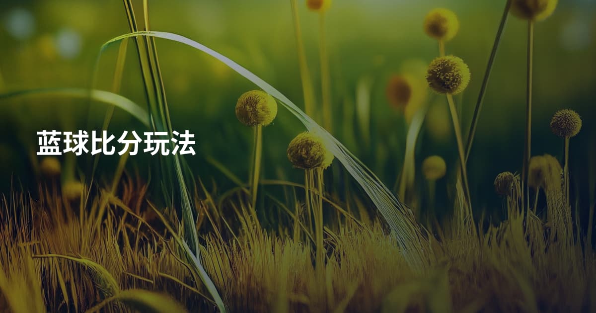 蓝球比分玩法