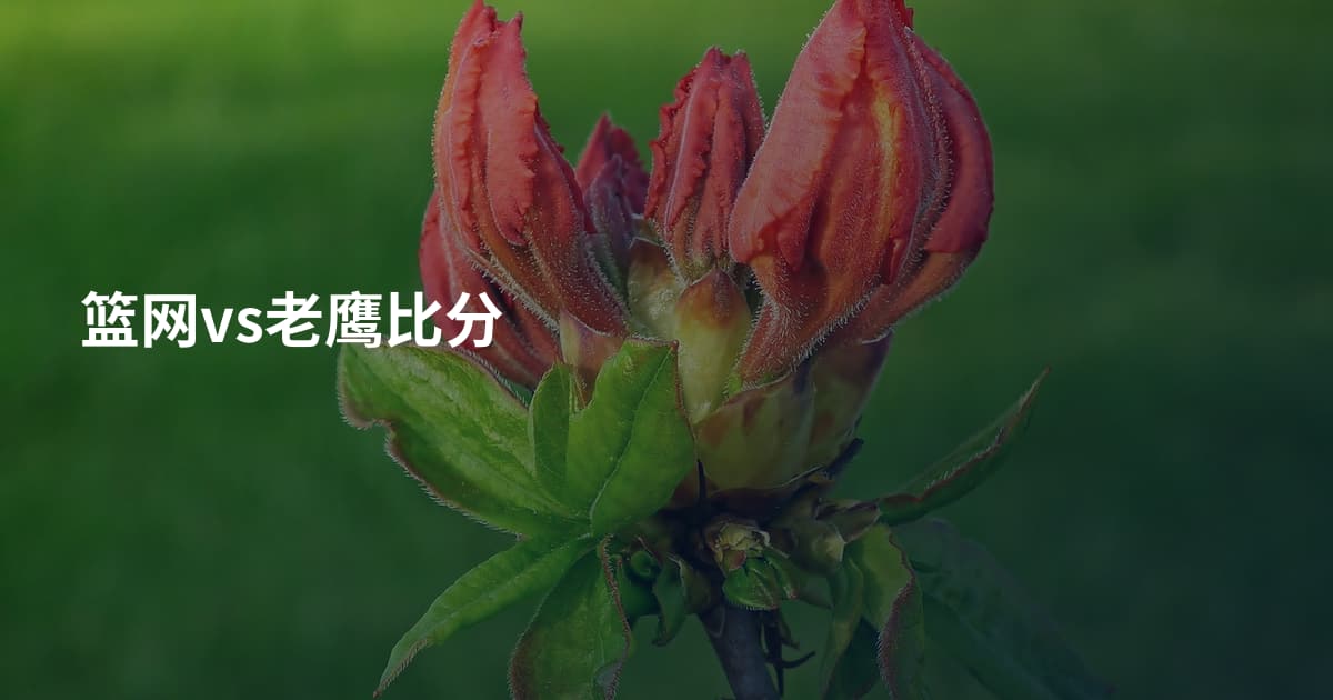 篮网vs老鹰比分
