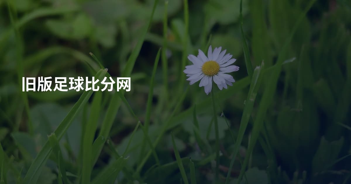 旧版足球比分网