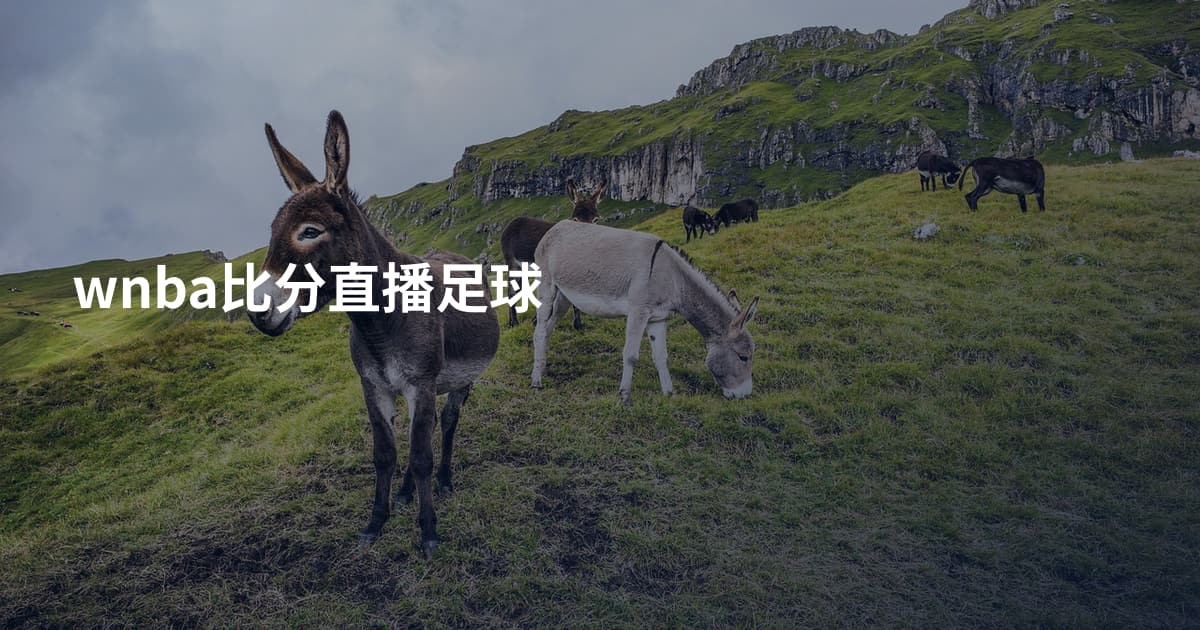 wnba比分直播足球