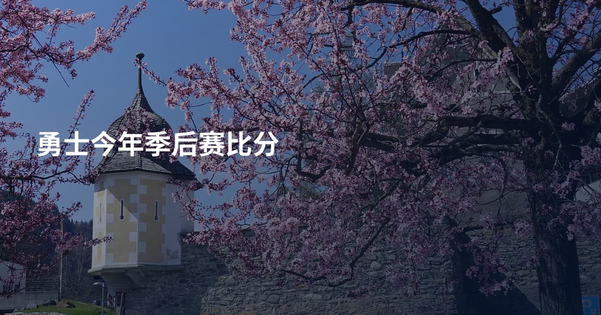 勇士今年季后赛比分