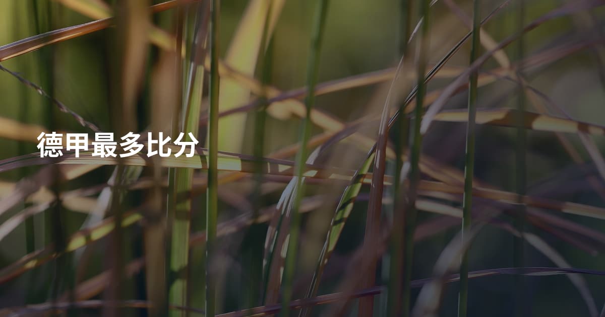 德甲最多比分