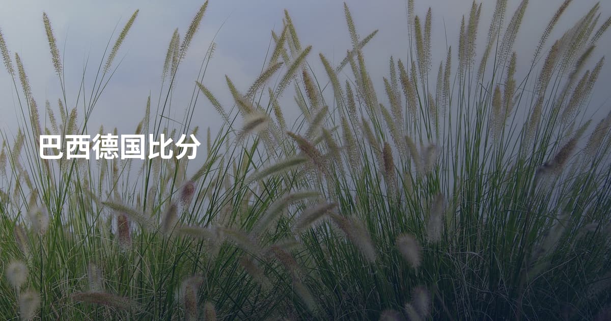 巴西德国比分