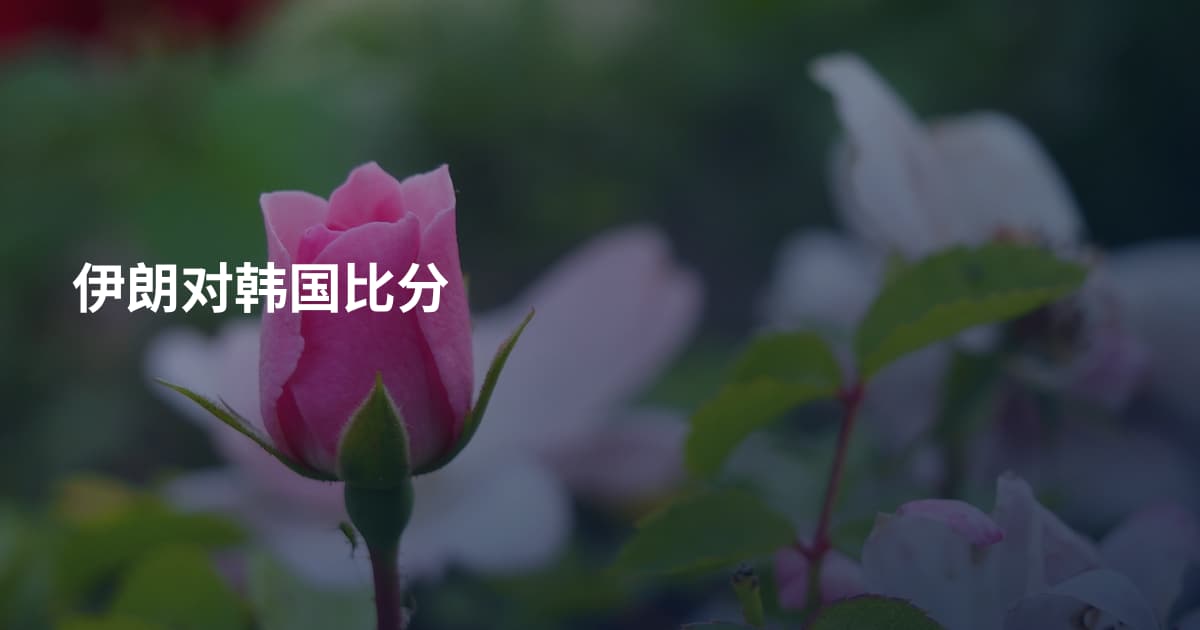 伊朗对韩国比分