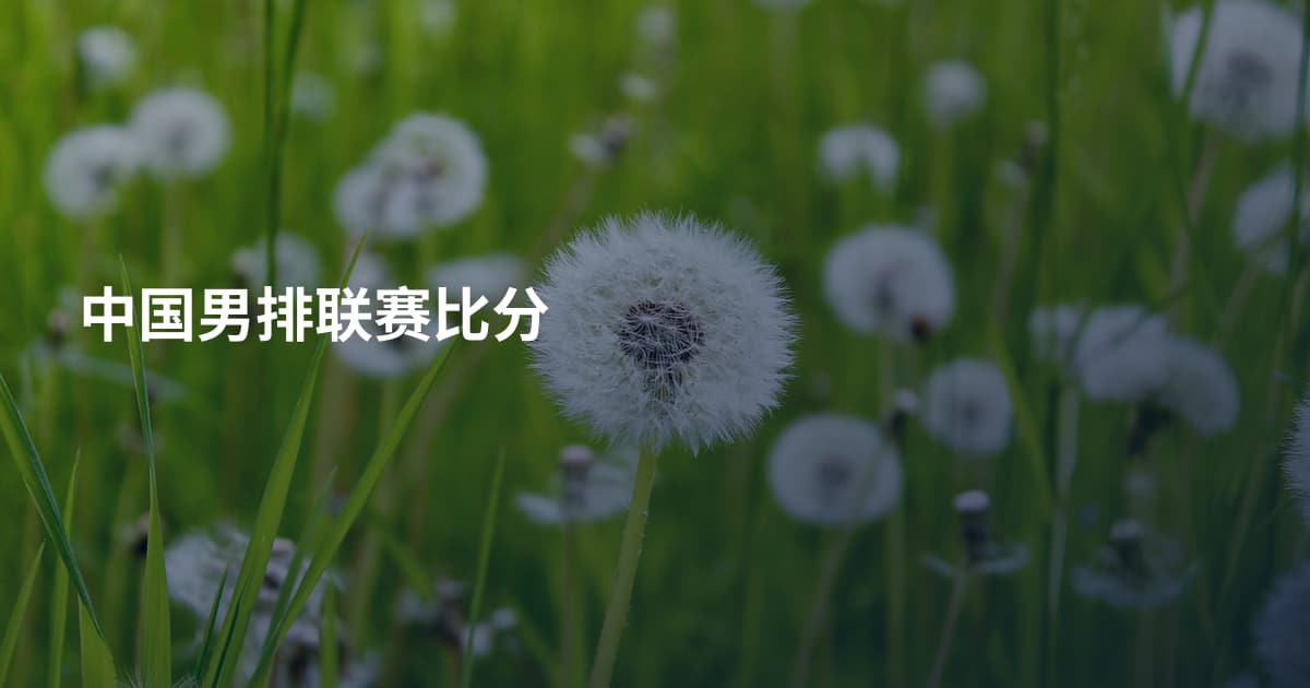 中国男排联赛比分