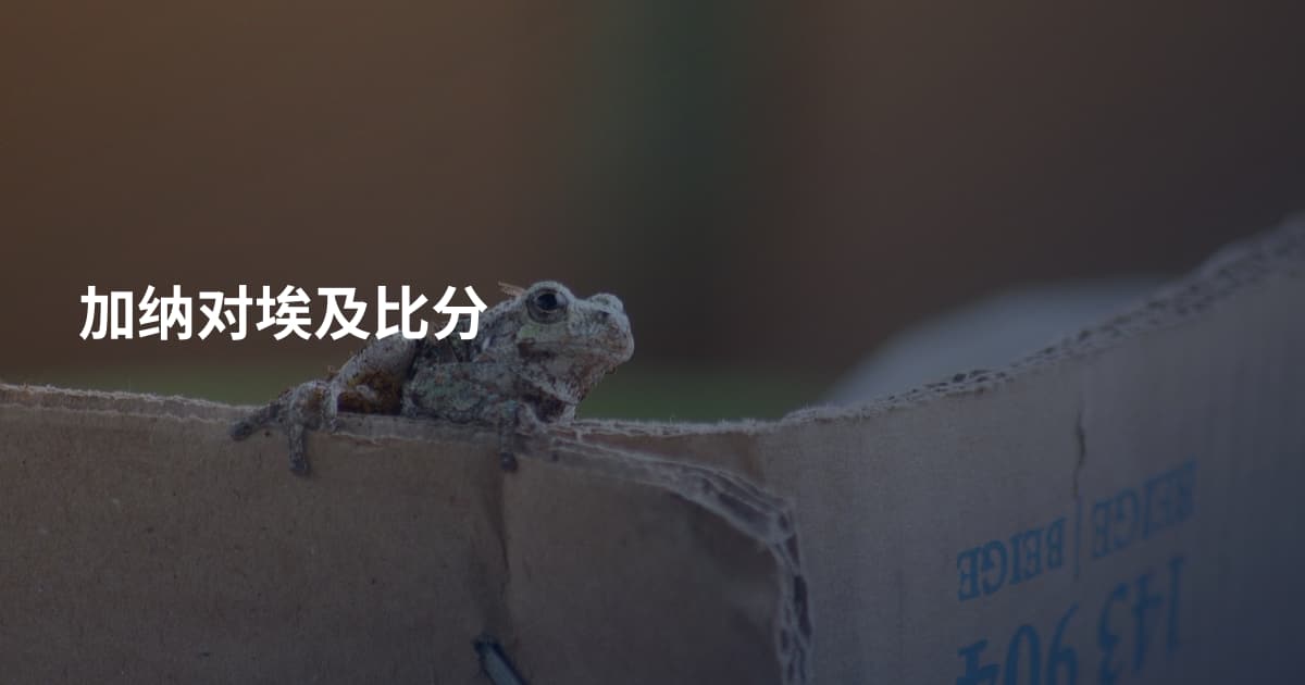 加纳对埃及比分
