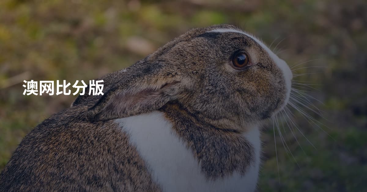 澳网比分版