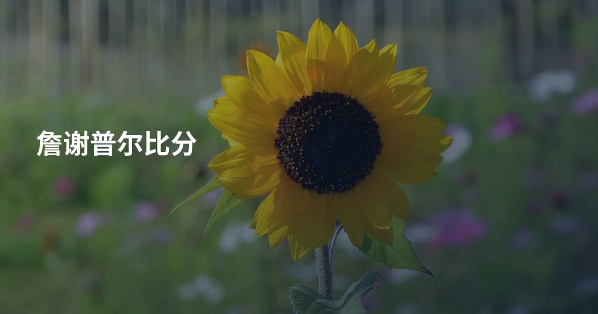 詹谢普尔比分