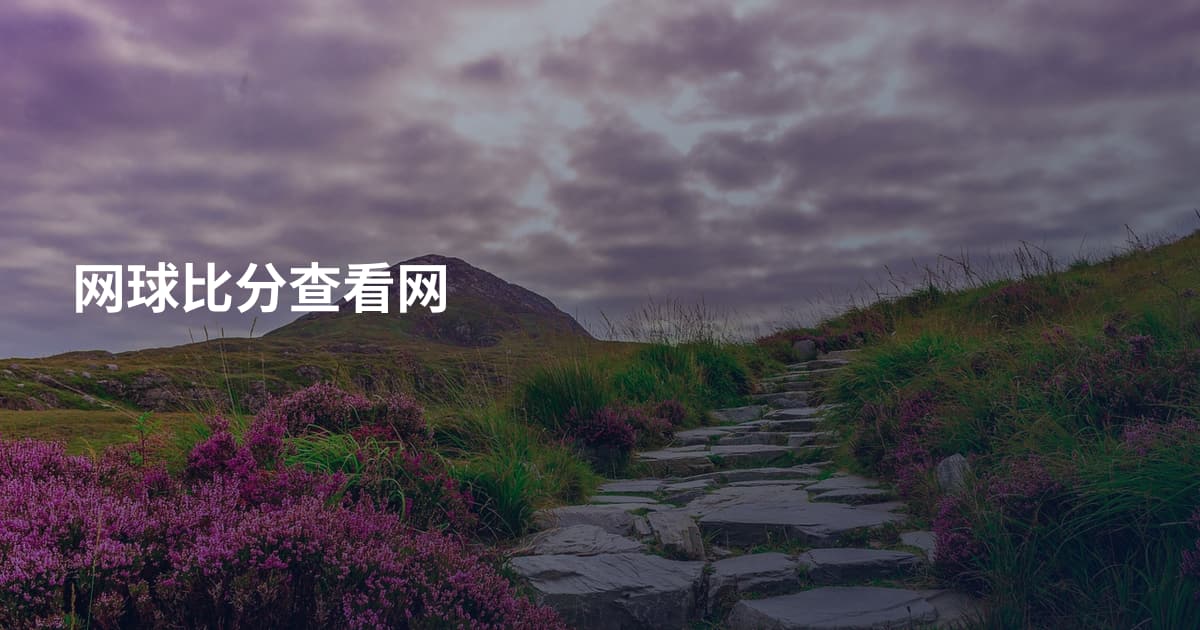 网球比分查看网