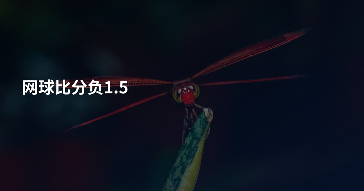 网球比分负1.5