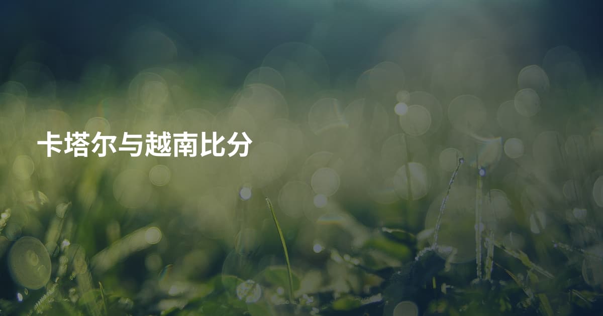 卡塔尔与越南比分